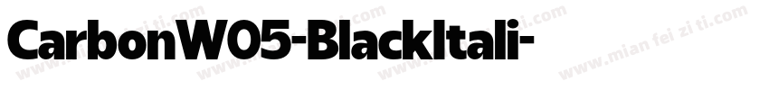 CarbonW05-BlackItali字体转换