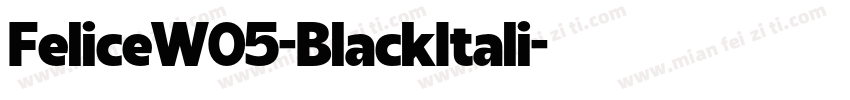 FeliceW05-BlackItali字体转换