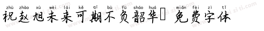 祝赵旭未来可期不负韶华字体转换