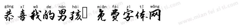 恭喜我的男孩字体转换