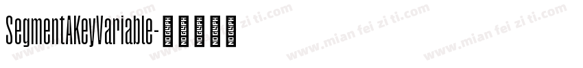 SegmentAKeyVariable字体转换