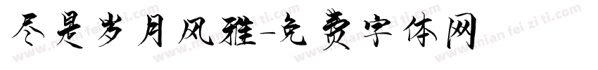 尽是岁月风雅字体转换