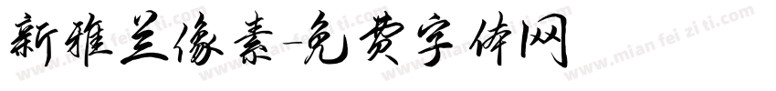 新雅兰像素字体转换