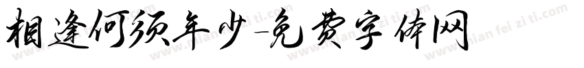 相逢何须年少字体转换