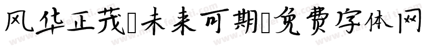 风华正茂，未来可期字体转换