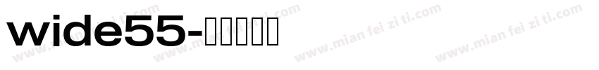 wide55字体转换