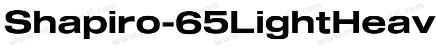 Shapiro-65LightHeavyExtd字体转换