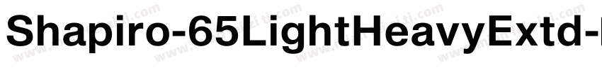 Shapiro-65LightHeavyExtd字体转换