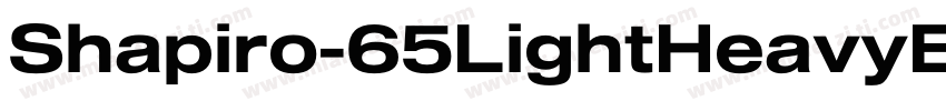Shapiro-65LightHeavyExtd字体转换