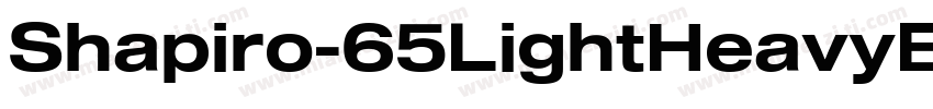 Shapiro-65LightHeavyExtd字体转换