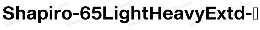 Shapiro-65LightHeavyExtd字体转换