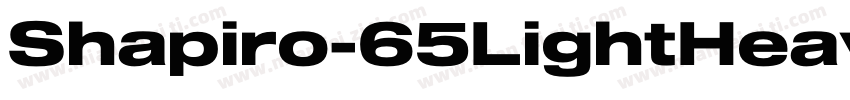 Shapiro-65LightHeavyExtd字体转换