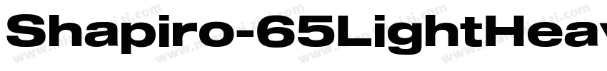 Shapiro-65LightHeavyExtd字体转换