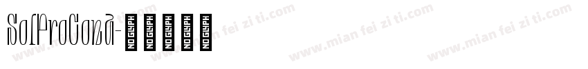 SolProCond字体转换