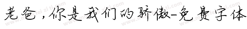 老爸，你是我们的骄傲字体转换