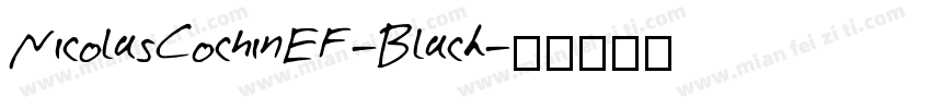 NicolasCochinEF-Black字体转换