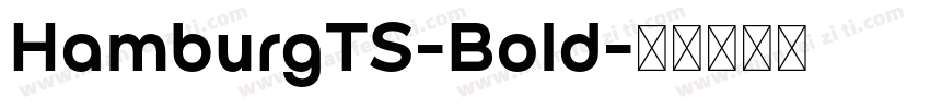 HamburgTS-Bold字体转换