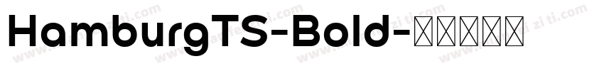 HamburgTS-Bold字体转换