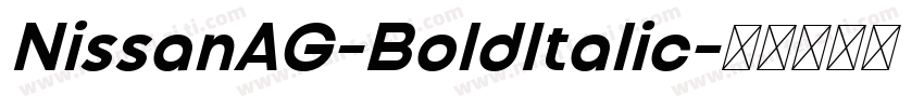 NissanAG-BoldItalic字体转换