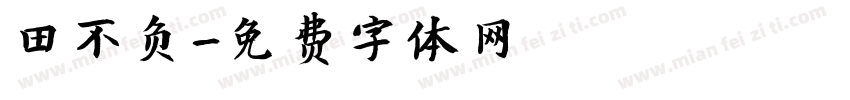 田不负字体转换