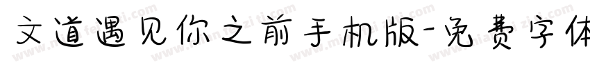 文道遇见你之前手机版字体转换