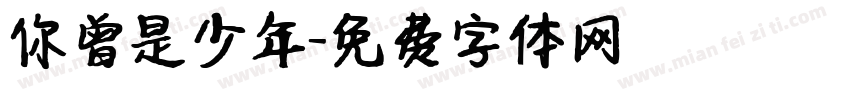 你曾是少年字体转换