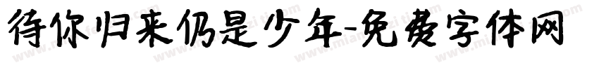 待你归来仍是少年字体转换