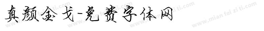 真颜金戈字体转换