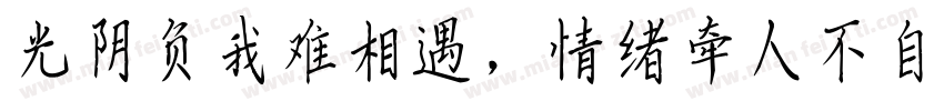光阴负我难相遇，情绪牵人不自由。字体转换