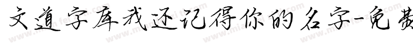 文道字库我还记得你的名字字体转换