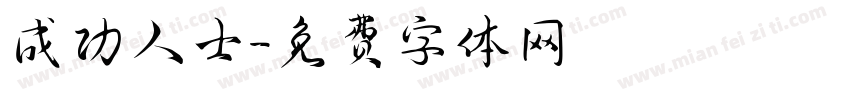 成功人士字体转换