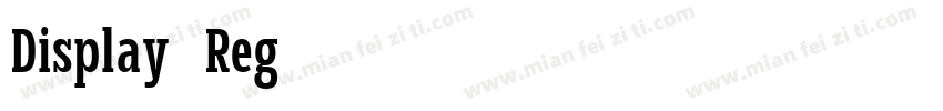 Display-Reg字体转换