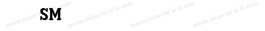 单开双控SM字体转换