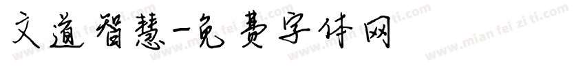 文道智慧字体转换