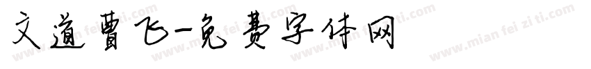 文道曹飞字体转换