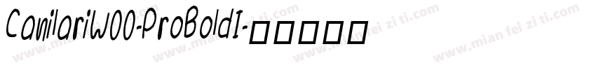 CanilariW00-ProBoldI字体转换