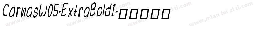 CarnasW05-ExtraBoldI字体转换