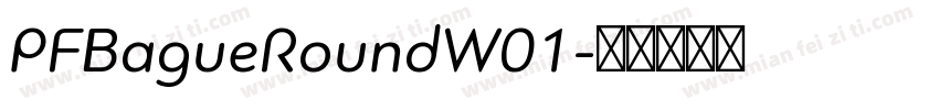 PFBagueRoundW01字体转换