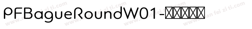 PFBagueRoundW01字体转换