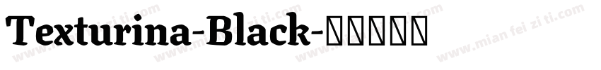 Texturina-Black字体转换