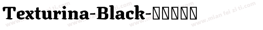 Texturina-Black字体转换