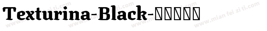 Texturina-Black字体转换