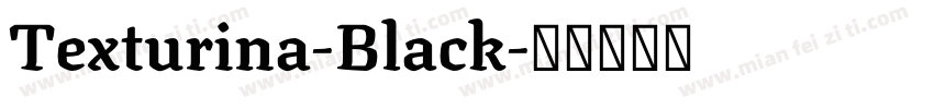 Texturina-Black字体转换