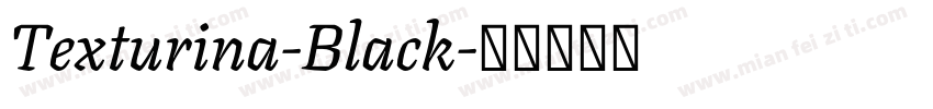Texturina-Black字体转换