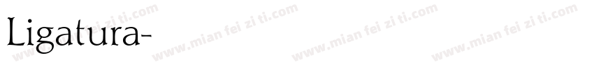 Ligatura字体转换