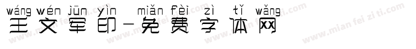 王文军印字体转换