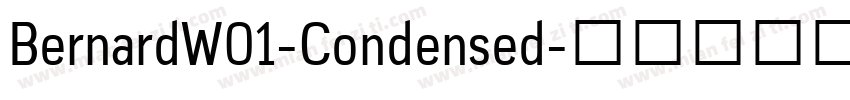 BernardW01-Condensed字体转换