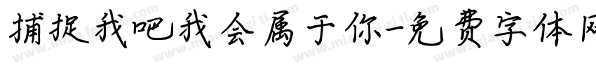 捕捉我吧我会属于你字体转换