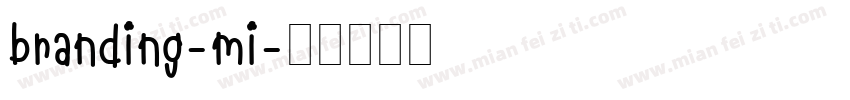 branding-mi字体转换