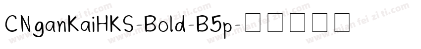 CNganKaiHKS-Bold-B5p字体转换